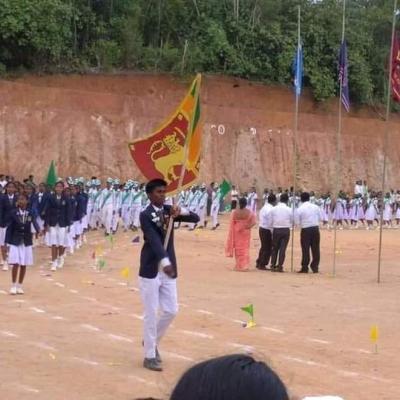 නිවාසාන්තර උළෙල 